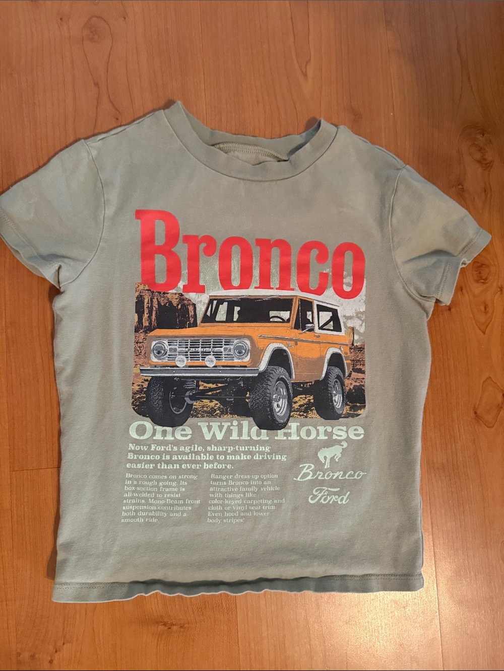 Ford Bronco Graphic Tee in Light Sage Green with Red and Orange Print